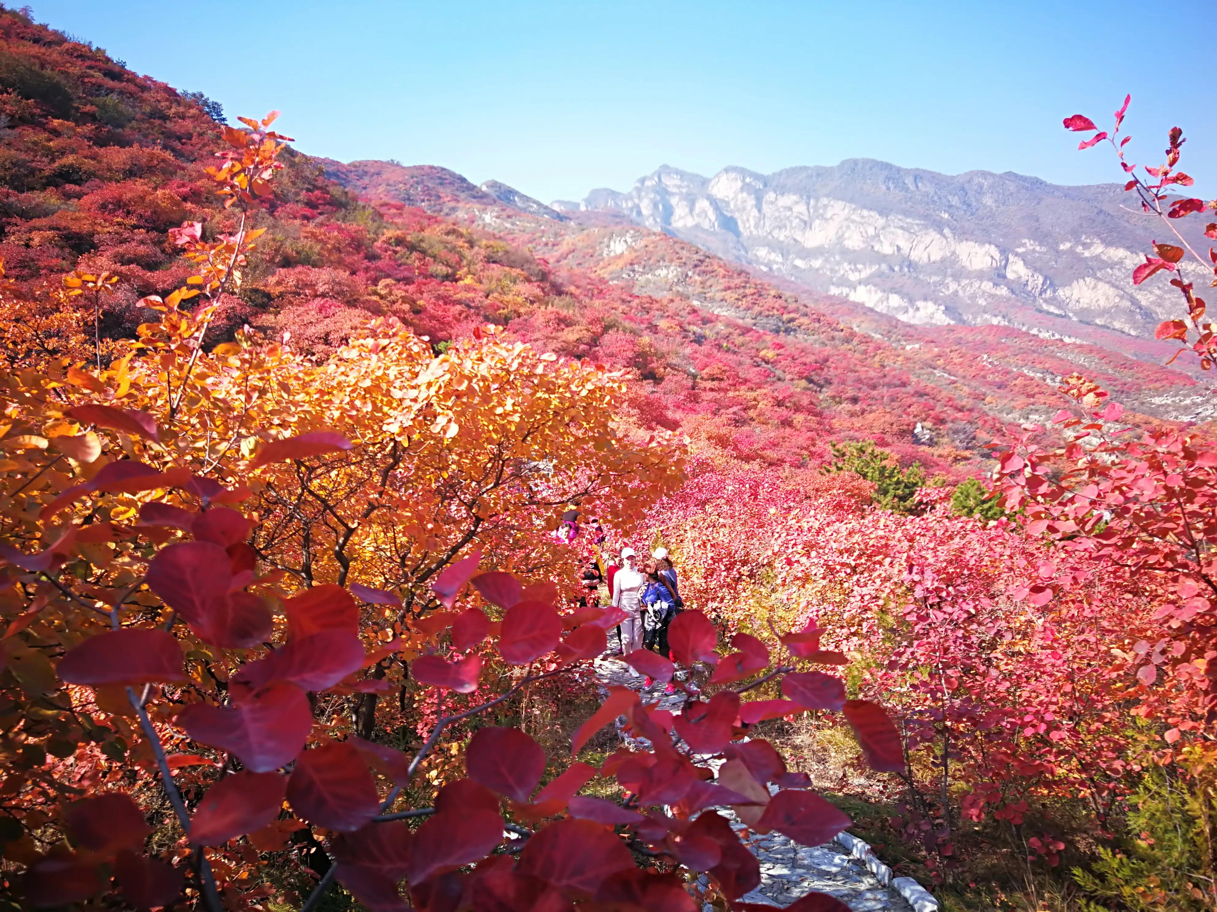 房山药王谷门票,房山药王谷风景区