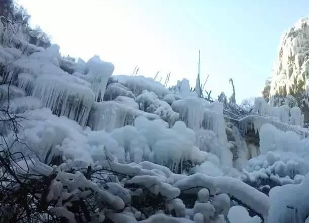 张元诗词全集,张元文言文解释