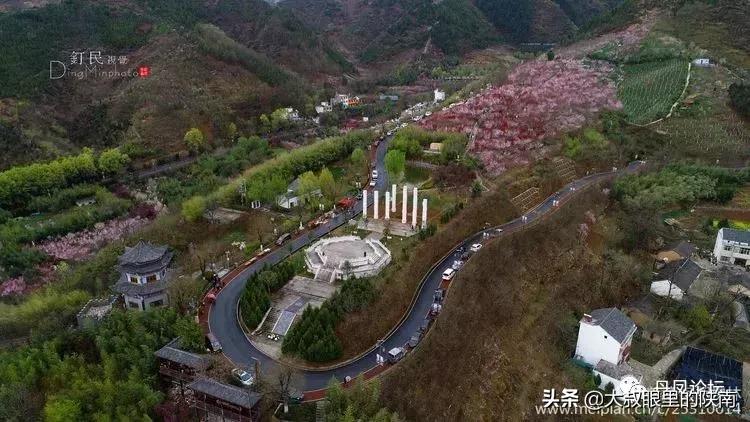 丹凤县七一建党节活动,丹凤建党