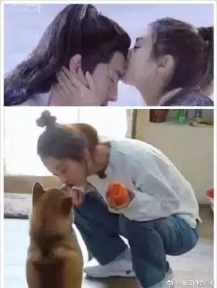 林更新能有多接地气,林更新有那么好笑吗