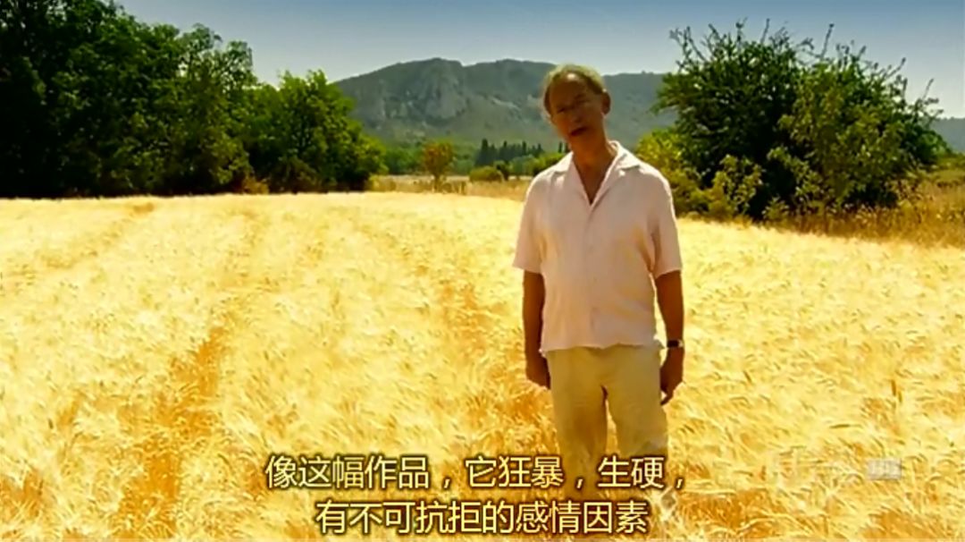 必看的6部高分艺术纪录片,6部高品质自然类纪录片推荐