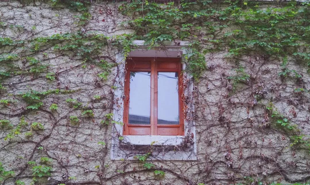 五一去广州的最佳路线,五一广州最佳路线