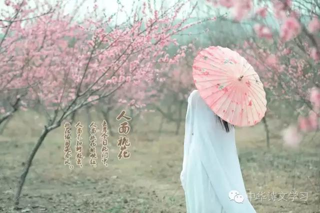 8个关于春天的唯美成语故事,有关春天的成语故事