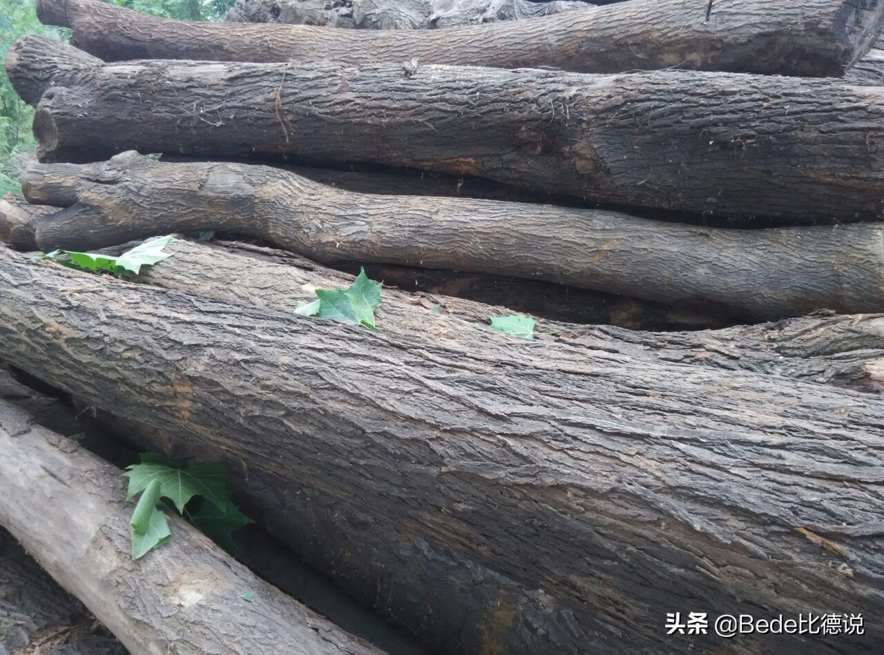 九层妖塔挖掘诡异事件,考古九层妖塔为什么不敢挖七层