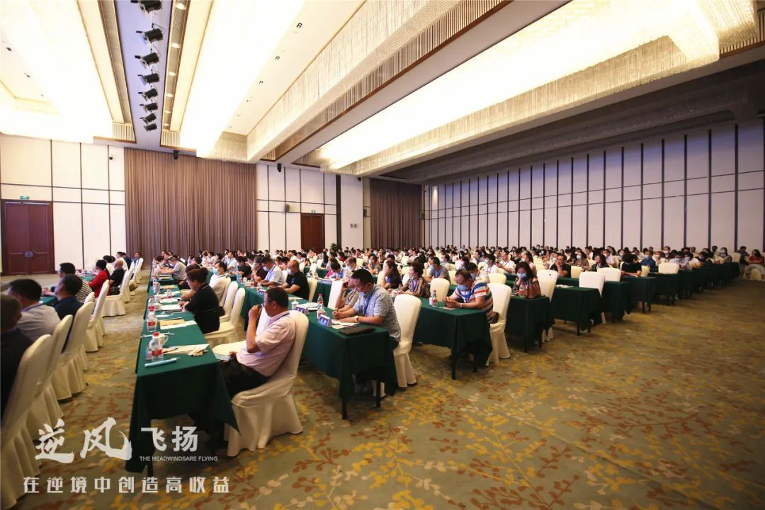 应对疫情支持企业发展措施,应对疫情有效促进经济平稳增长