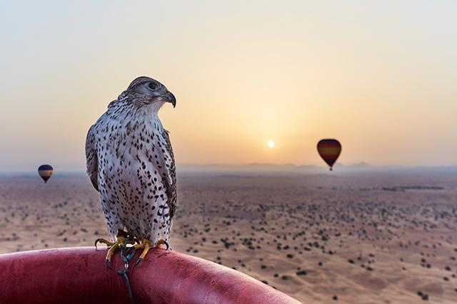 迪拜是人人都是土豪吗,迪拜全都是土豪吗