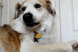 魏巍十大临床案例,魏巍临床经典案例