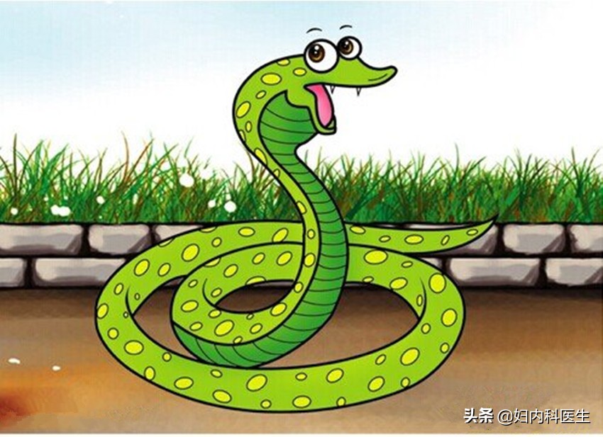 网友被毒蛇咬伤自救,被毒蛇咬伤如何自救原视频