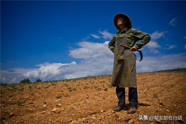 他山之石丨“拼”出新产业，小果子带来脱贫大希望，背后的故事都有啥