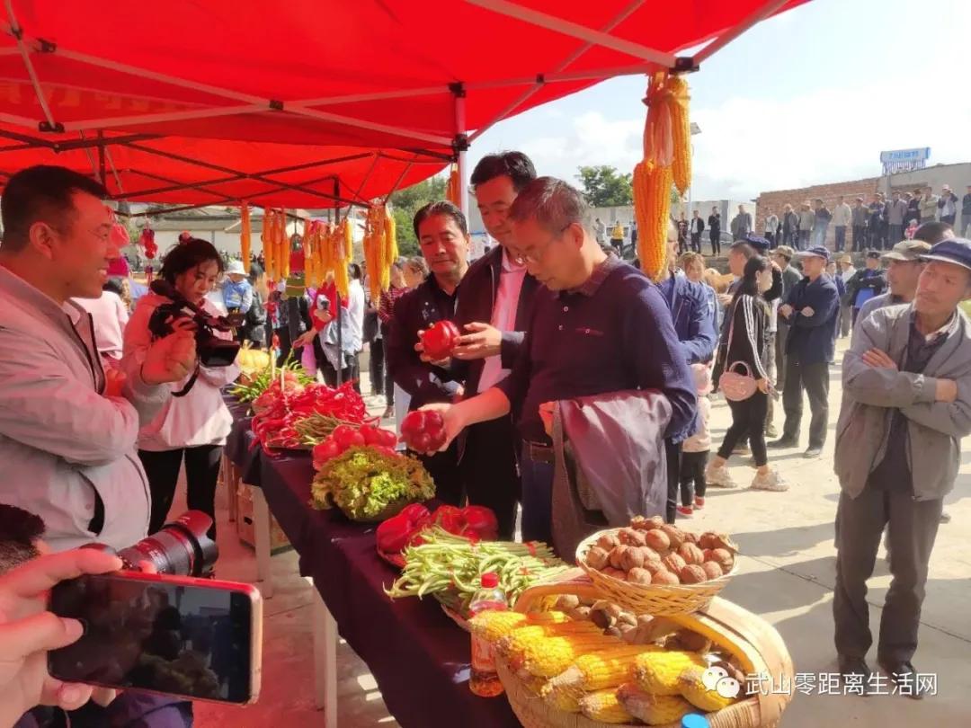 滩歌镇2020年中国农民丰收节暨消费扶贫月启动