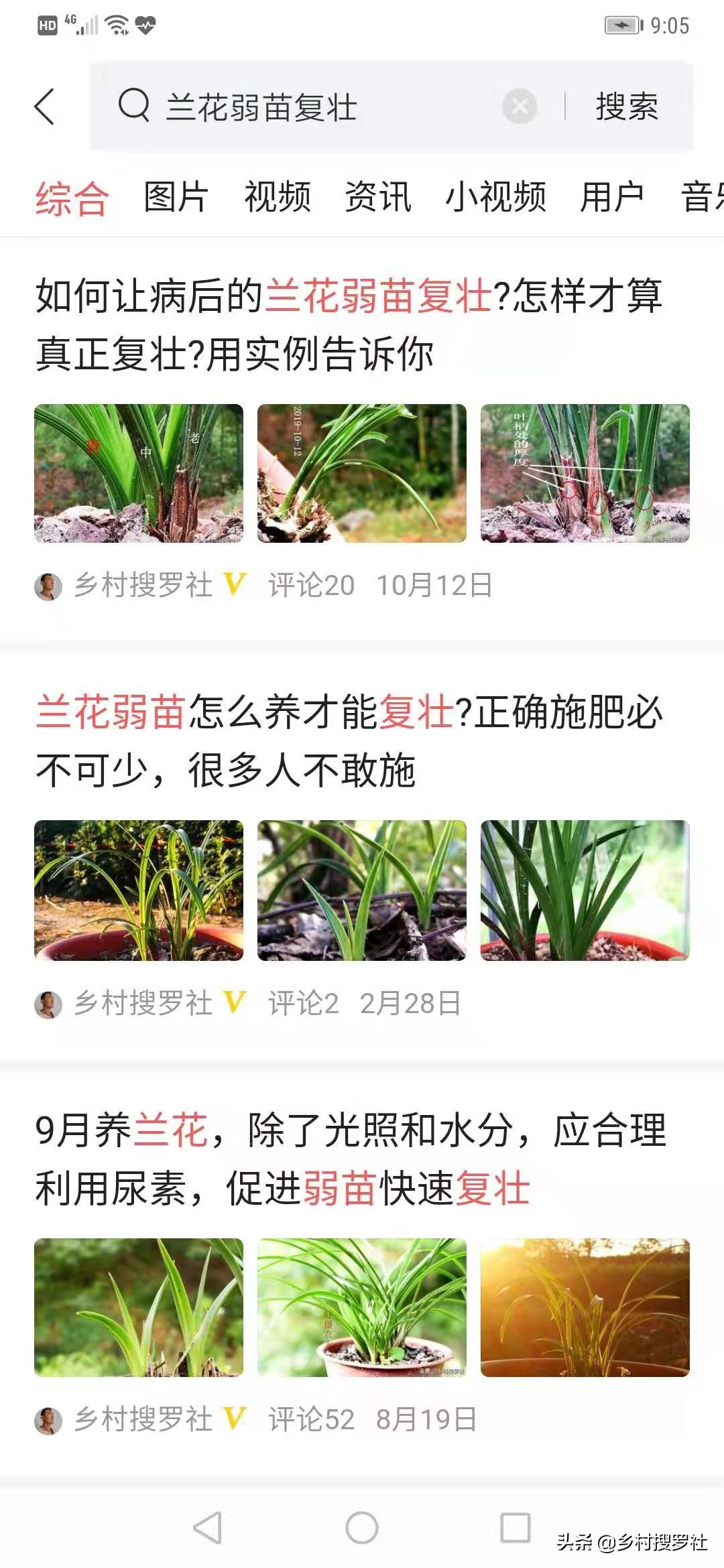 兰花换盆时根系满盆怎么分苗,兰花换盆后怎么养才能长得更好