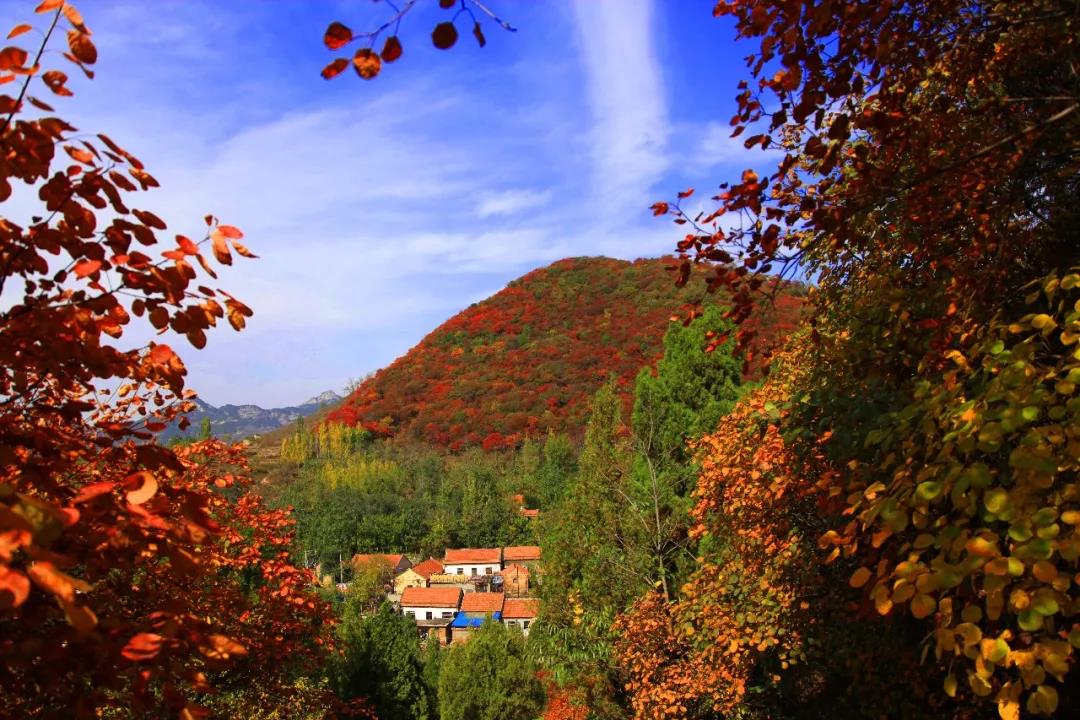 博山红叶谷门票优惠活动,博山十大免费红叶谷