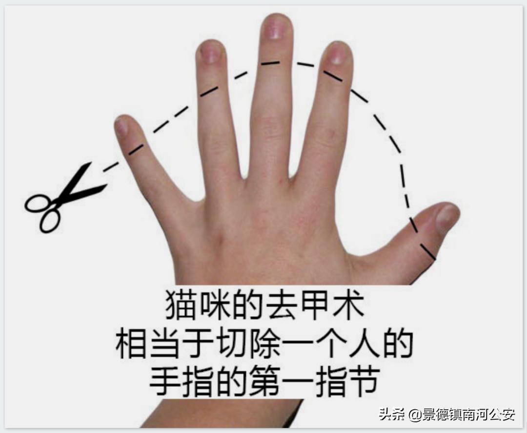 “割声带、截肢、电击,当爱变成我的噩梦”