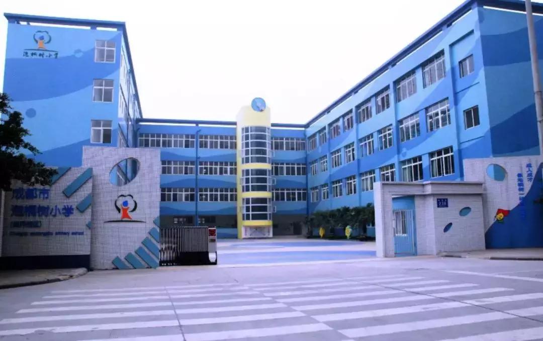 公立五朵金花泡桐树小学,成都名校排名小学