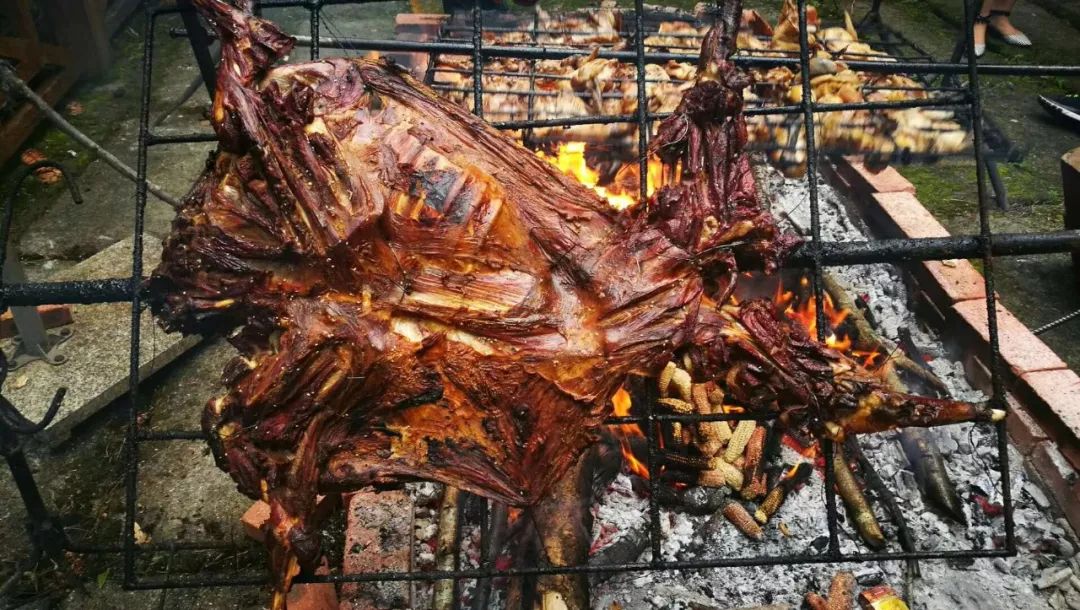 海螺沟温泉什么时候去最美,脑补一下