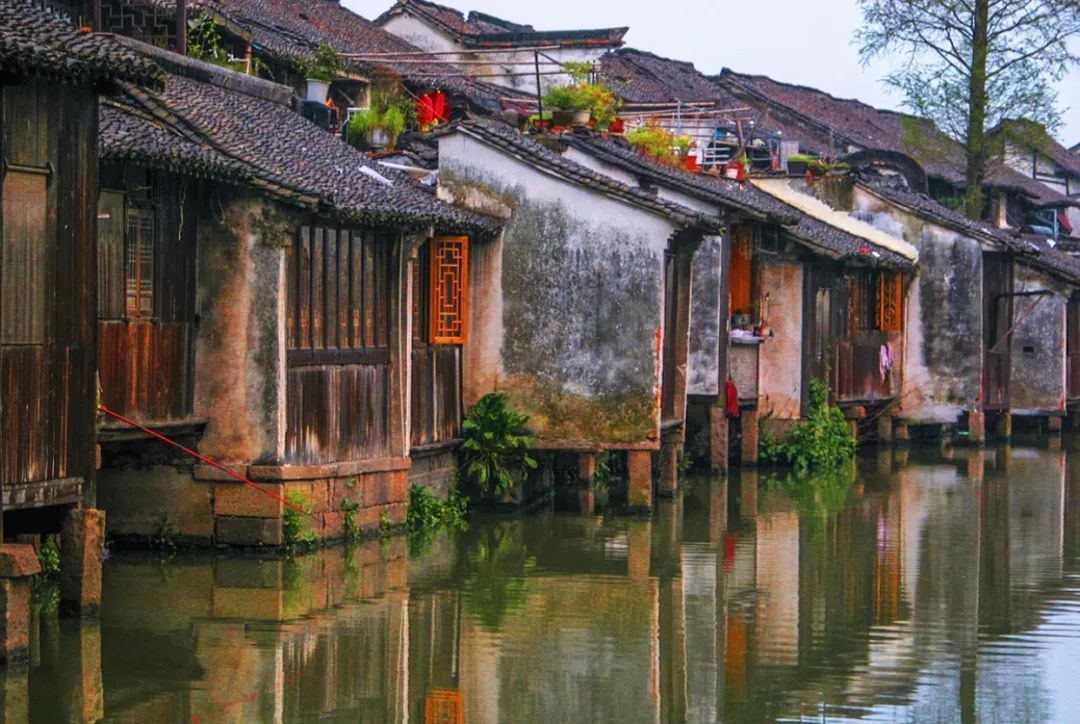 清明过后天空就明净了,今日清明万物生长清洁明净