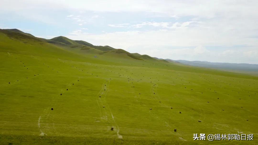 草原上的庄稼地,草原上的牧草怎么收割视频