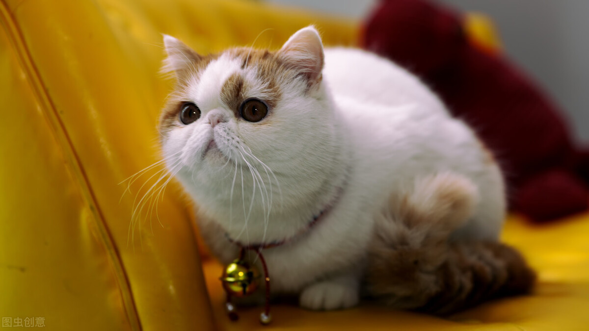 现在最热门的小生意有哪些,当下最赚钱的小生意