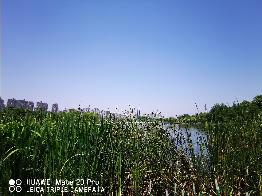 大美滨湖全景图,合肥滨湖塘西河公园美景