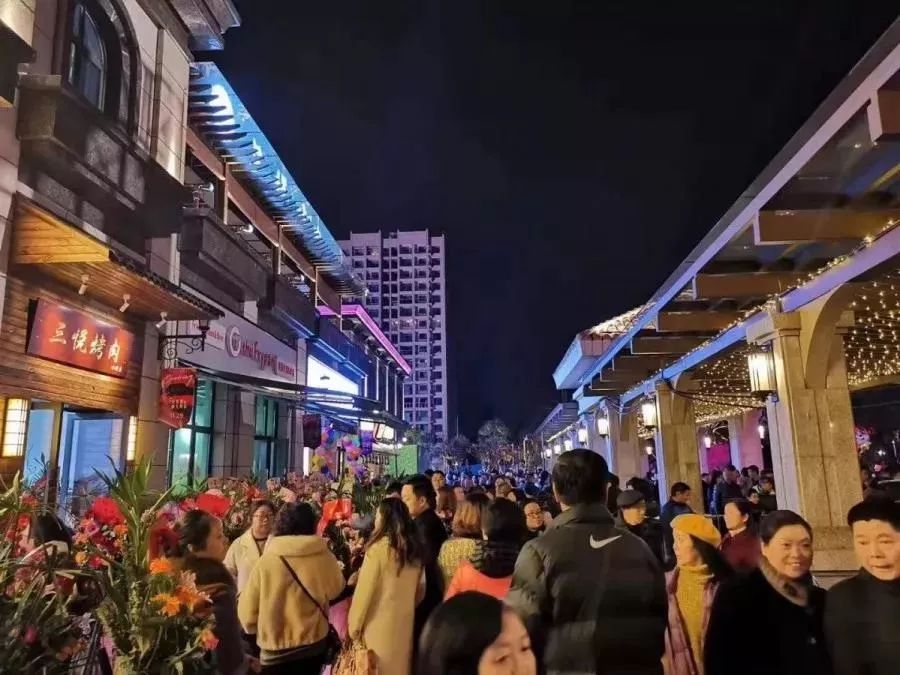 凤凰国际高端住宅区,2025年凤凰新城