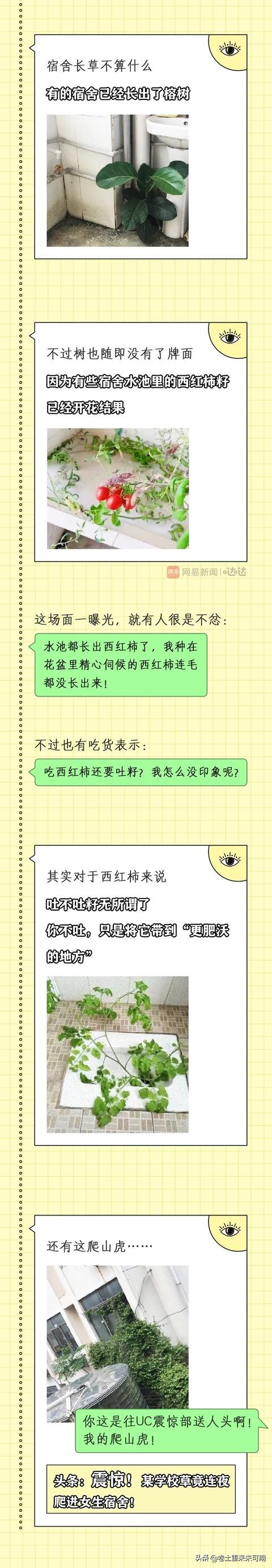 那些上学时最好看的漫画,开学前看的vs开学后看的漫画