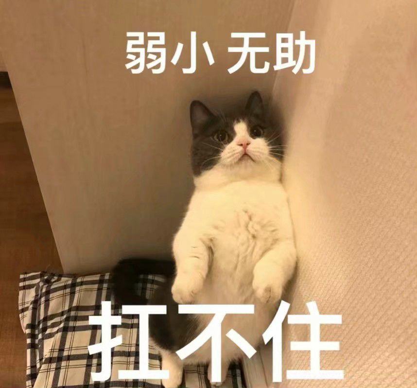 行政管理专业是天坑吗,行政管理为什么是万金油