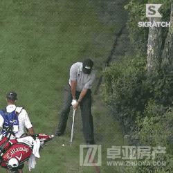 全球高尔夫,全球高尔夫挥杆