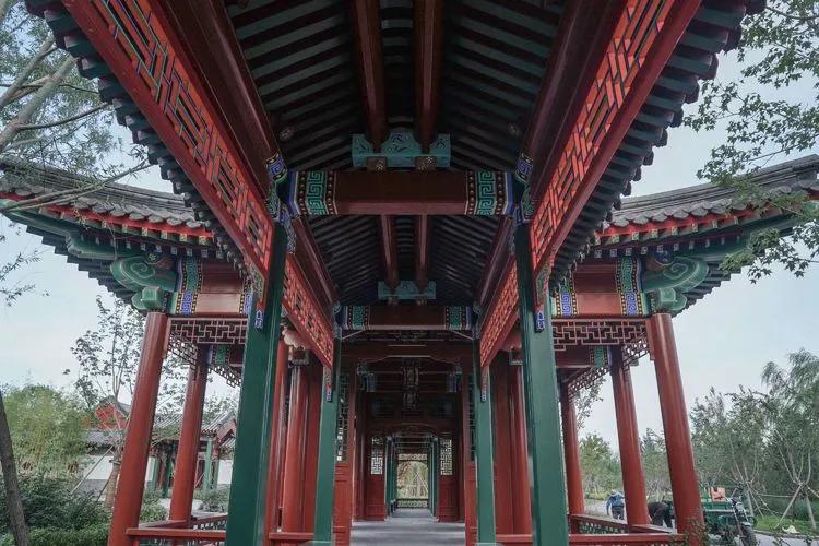 儿童乐园绿心公园,绿心公园儿童游乐区最新视频