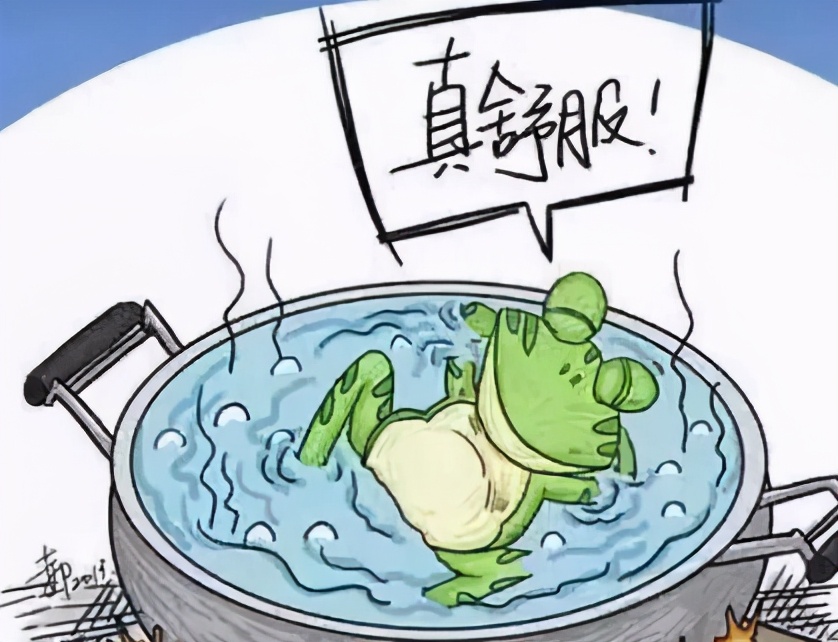 同样是当老师,私立、公立、机构各有哪些利弊,求职请慎重