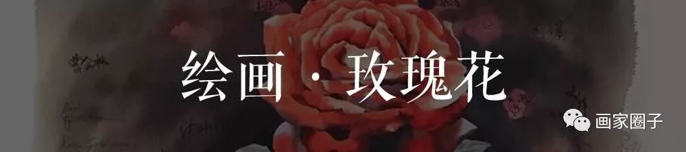 100种漂亮花卉图片,100张漂亮花图