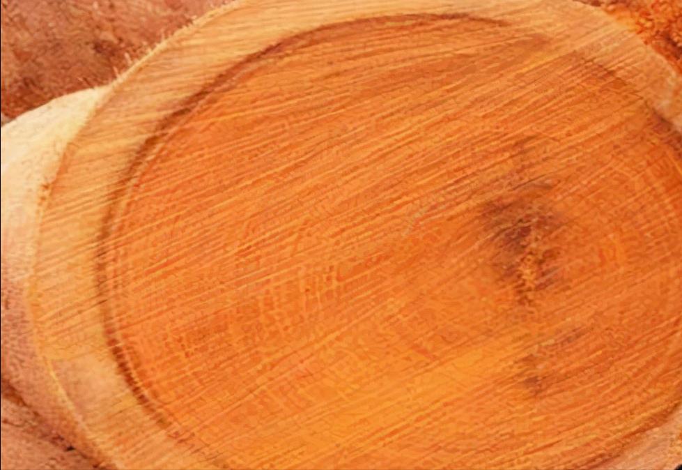 木材知识有哪些,木材知识大全樱桃木