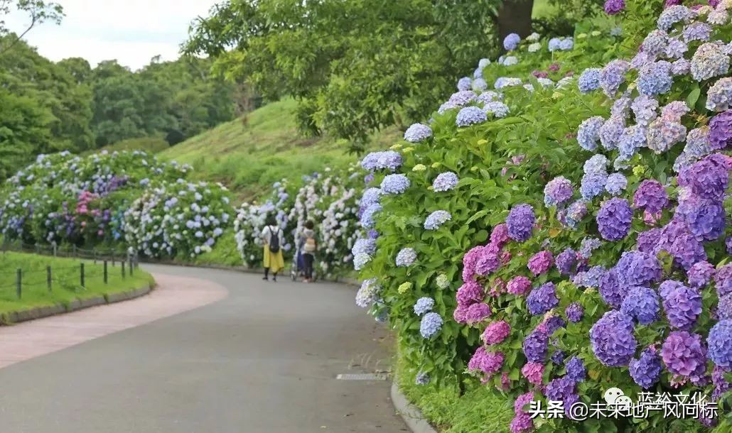 母亲牧场要玩多久,低成本花园家庭农场亲子乐园