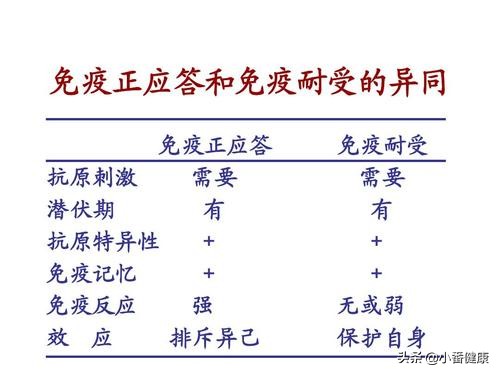 乙肝免疫耐受期抗病毒,乙肝抗病毒应答是什么意思