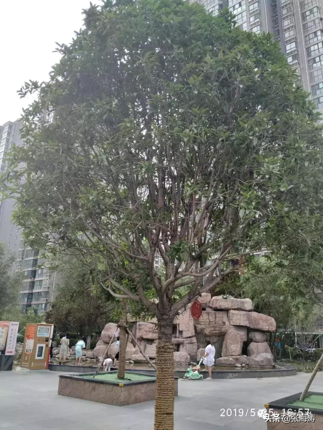 物业服务零投诉,福泽门物业现状