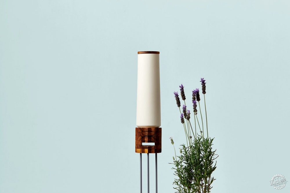 独居蜜蜂有哪些,独居蜜蜂