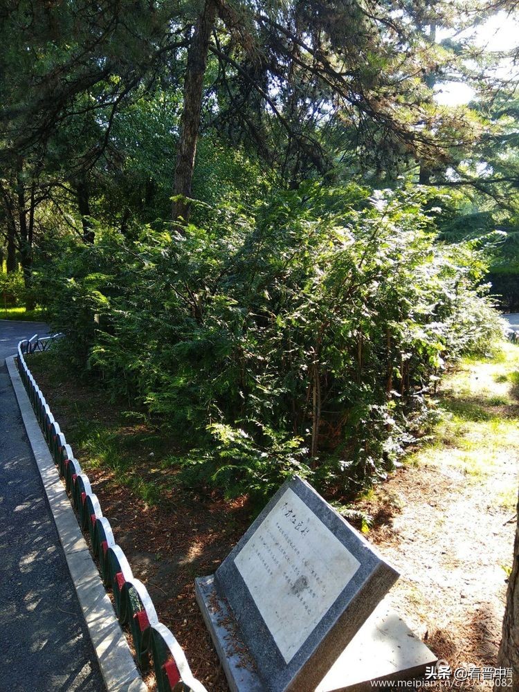 山西农大美丽的校园,山西农大校园风光