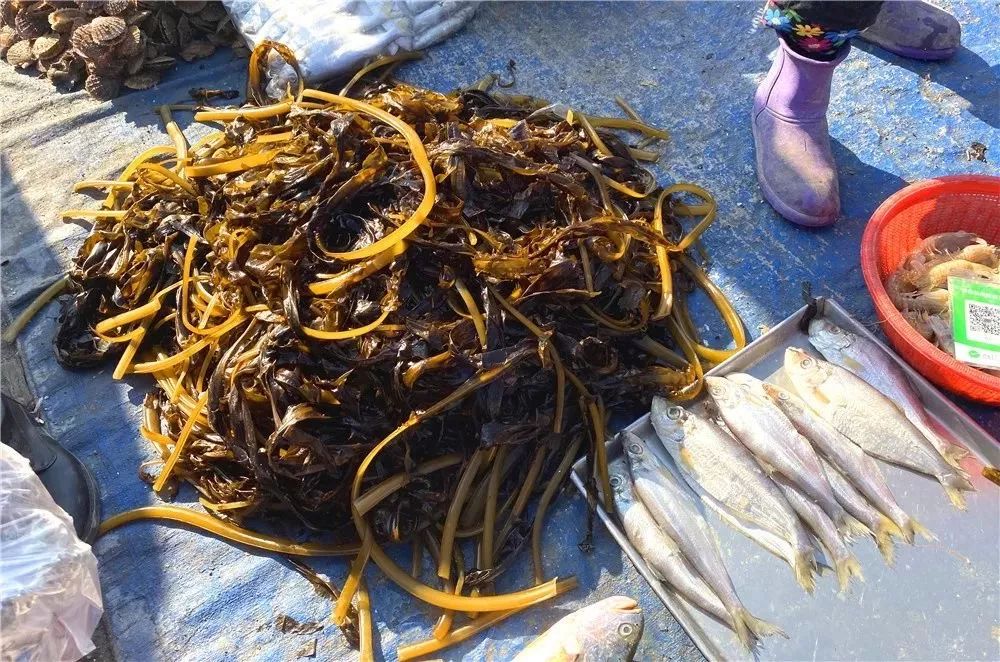 青岛春节大集攻略特色图,年货大集青岛全天