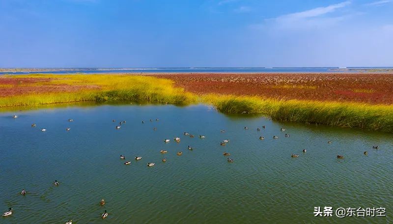东台是旅游城市吗,东台创建国家全域旅游示范区