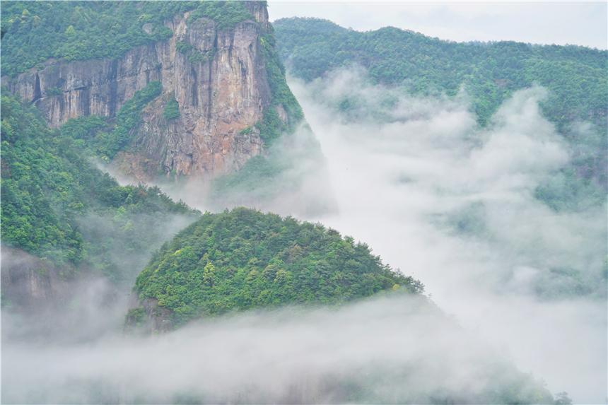 浙江有一个神奇山,浙江山里蝌蚪