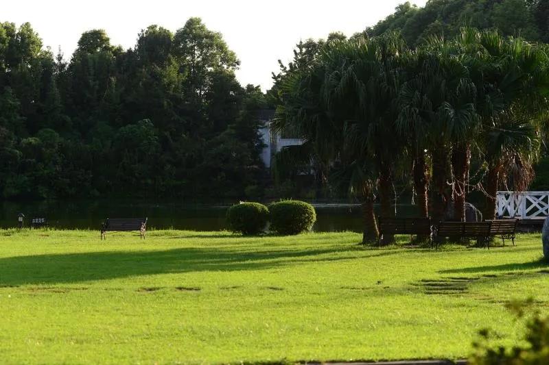 红光新城西安市,红光新城