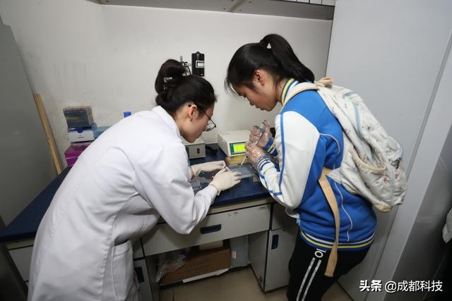 生命科学研究揭秘细胞的小秘密,探索细胞奥秘