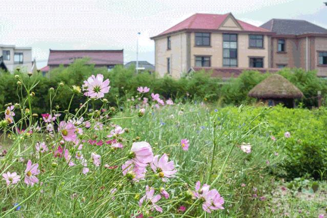 玩骑行和摄影,行走山野乡间赏田园风光