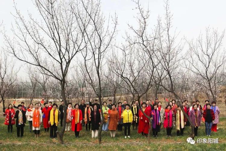 晋城哪里可以春游,晋城附近春游景点