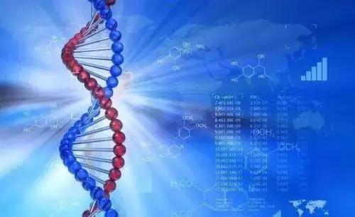 从肛肠脸蛋到证券投资，马应龙你看不懂