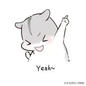 这个小镜子，照看着世上最贵的“房子”