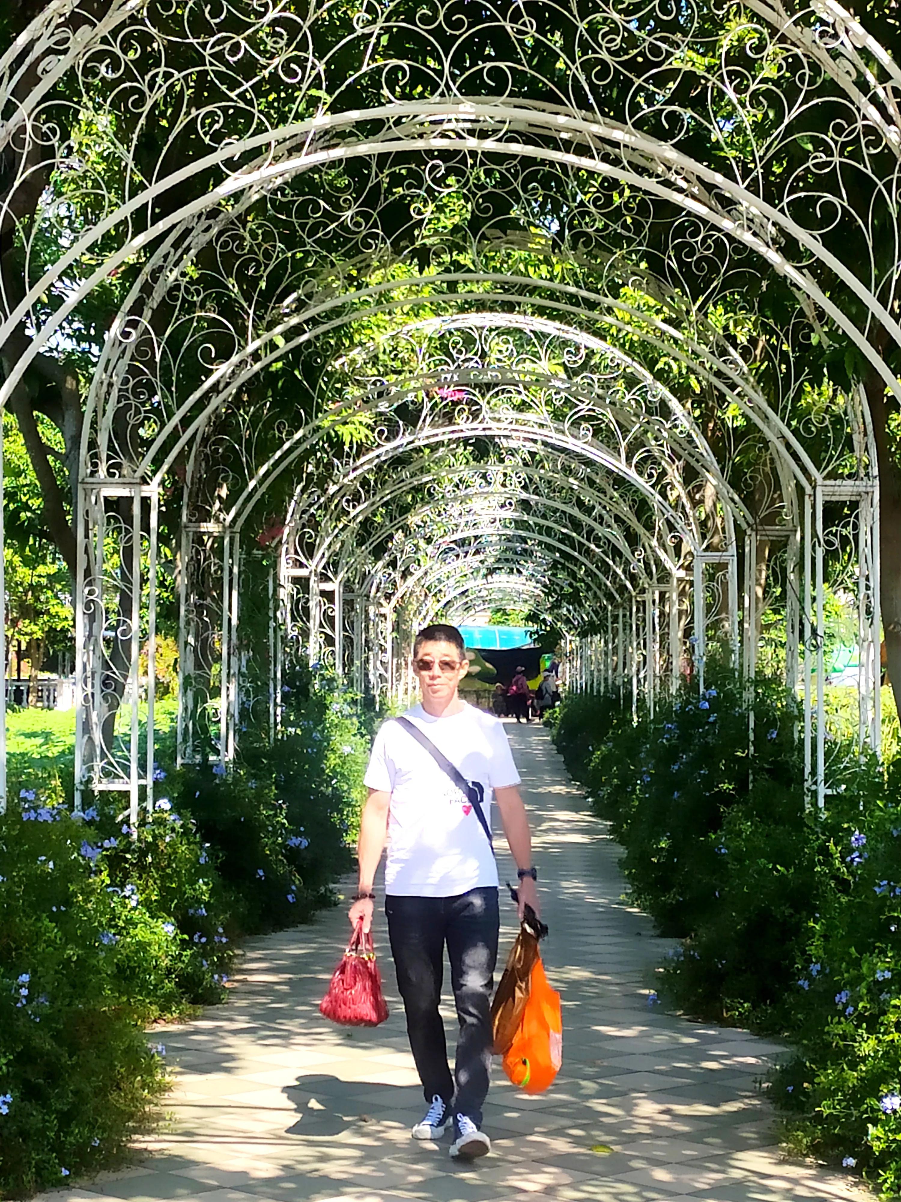 南沙好玩的地方百万葵园,广州南沙百万葵园几月份去最好