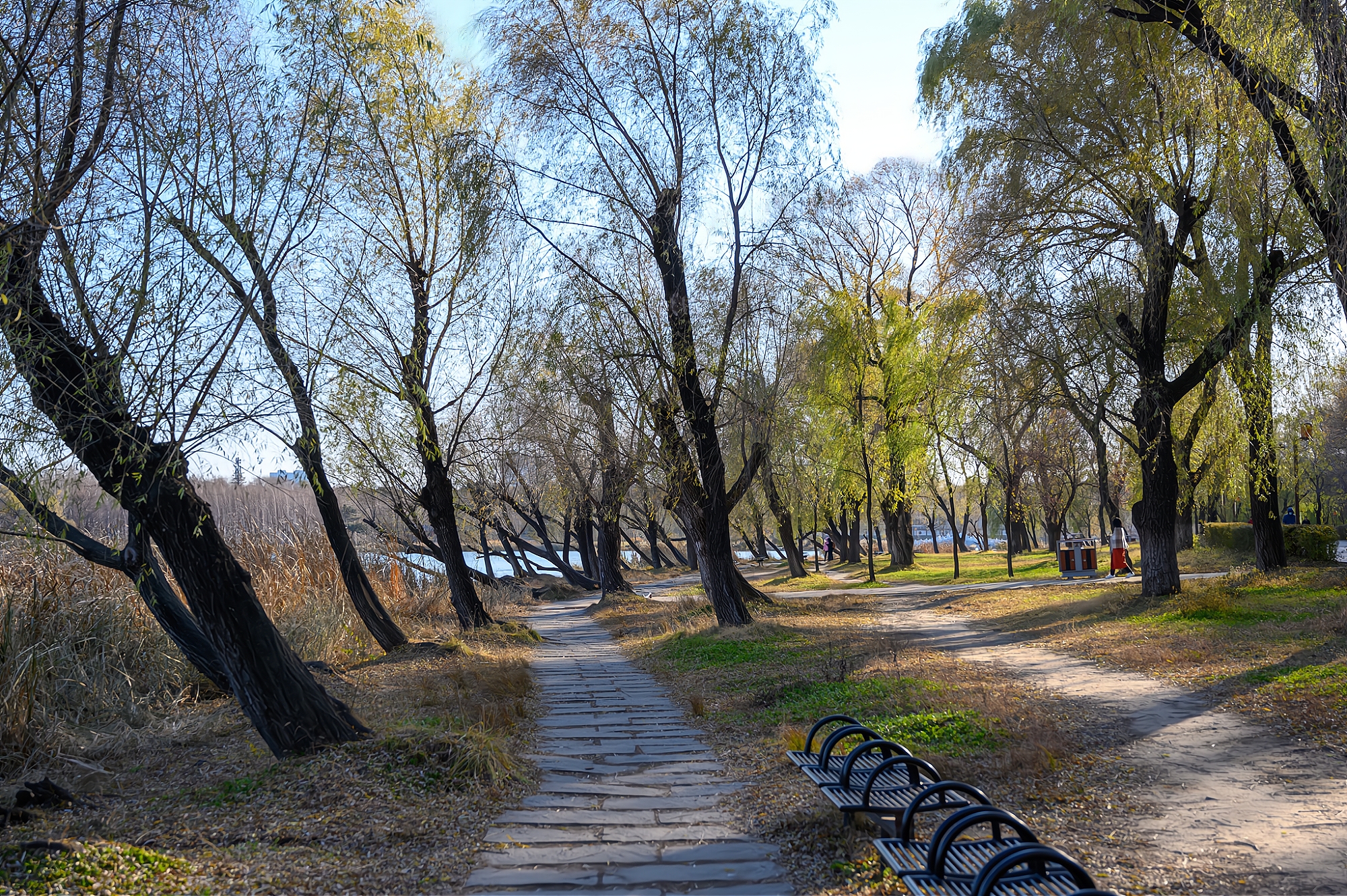 长春南湖公园，全国第二大城市公园，初冬时的景色依然美如画