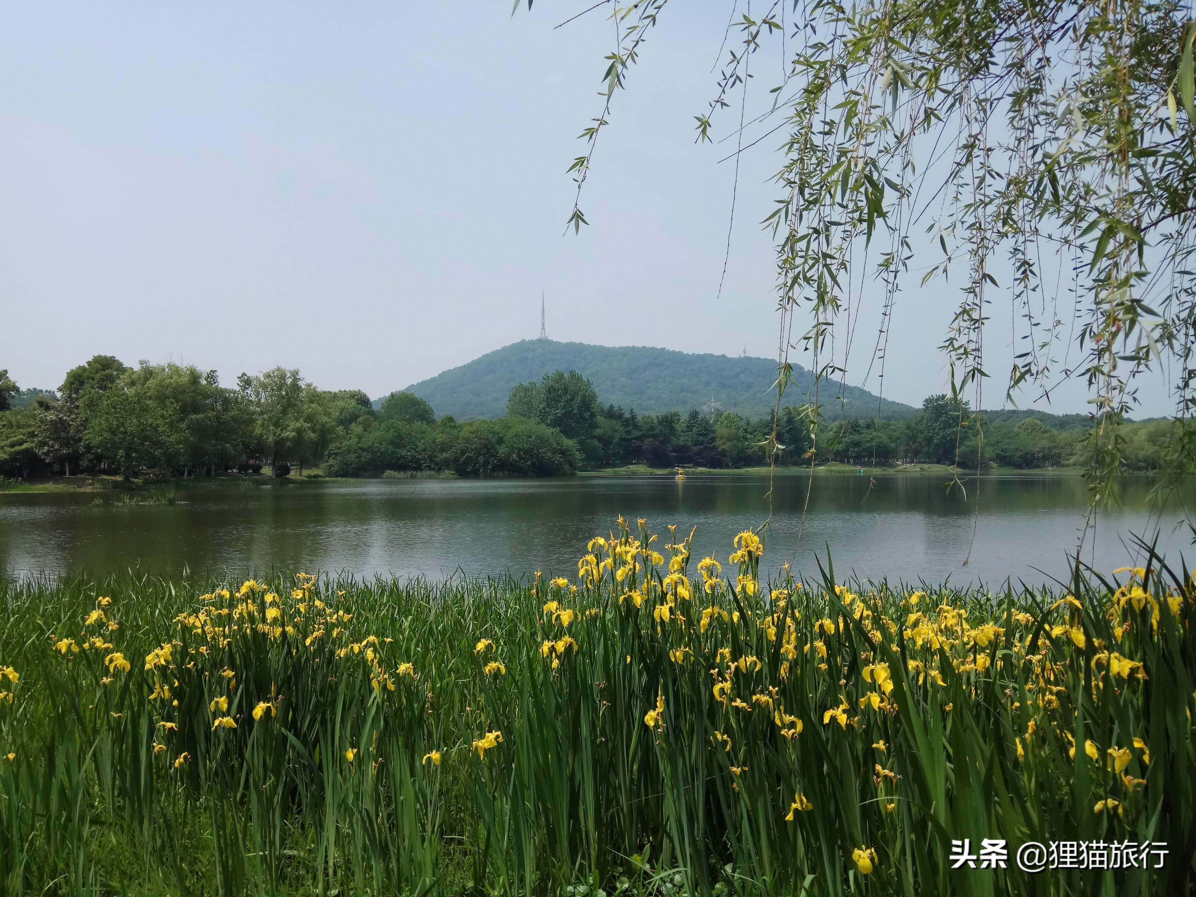 合肥护城河有什么好玩的,合肥护城河风景区