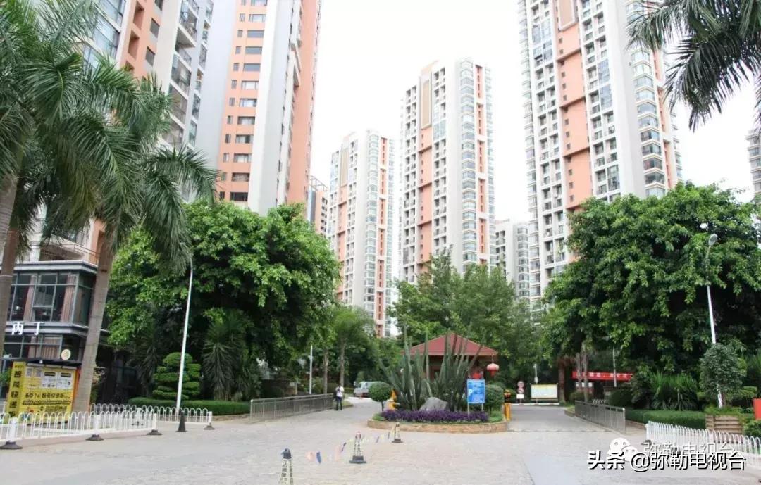 女子报警说家门口有恶犬,女子报警家门口有恶犬