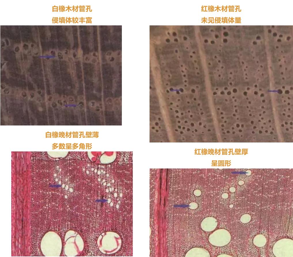 红橡和胡桃木床哪种好,红橡和白橡实木家具价格